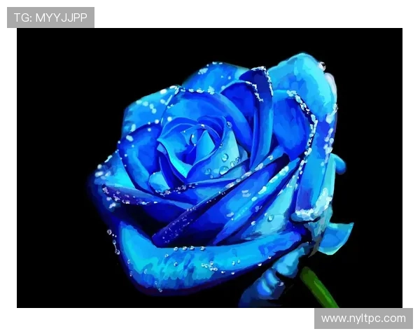 《蓝色妖姬》:一场关于爱与守护的蓝色梦境 《蓝色妖姬》:一场关于爱与守护的蓝色梦境